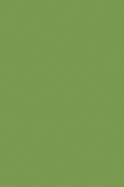 Зеленый киви